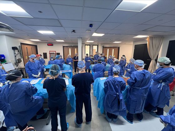 DNAZ Surgical Suite